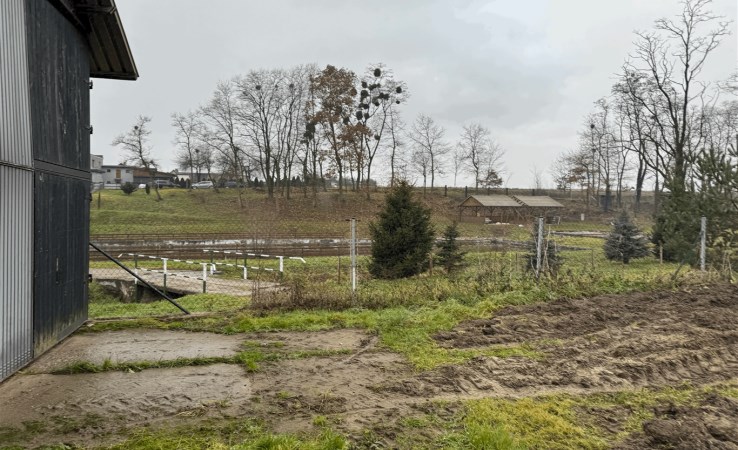 działka na sprzedaż - Toszek (gw)
